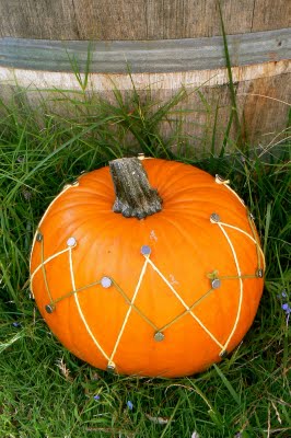 From www.themagiconions.com