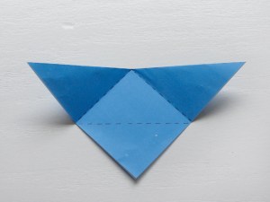 fold line 3