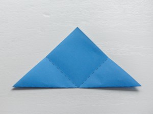second fold lines
