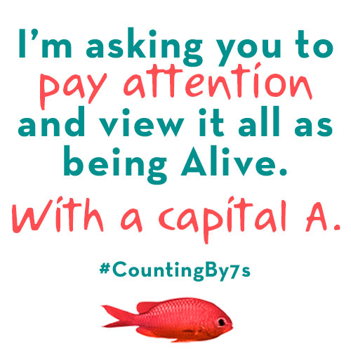 Willow's advice for understanding the world around you.